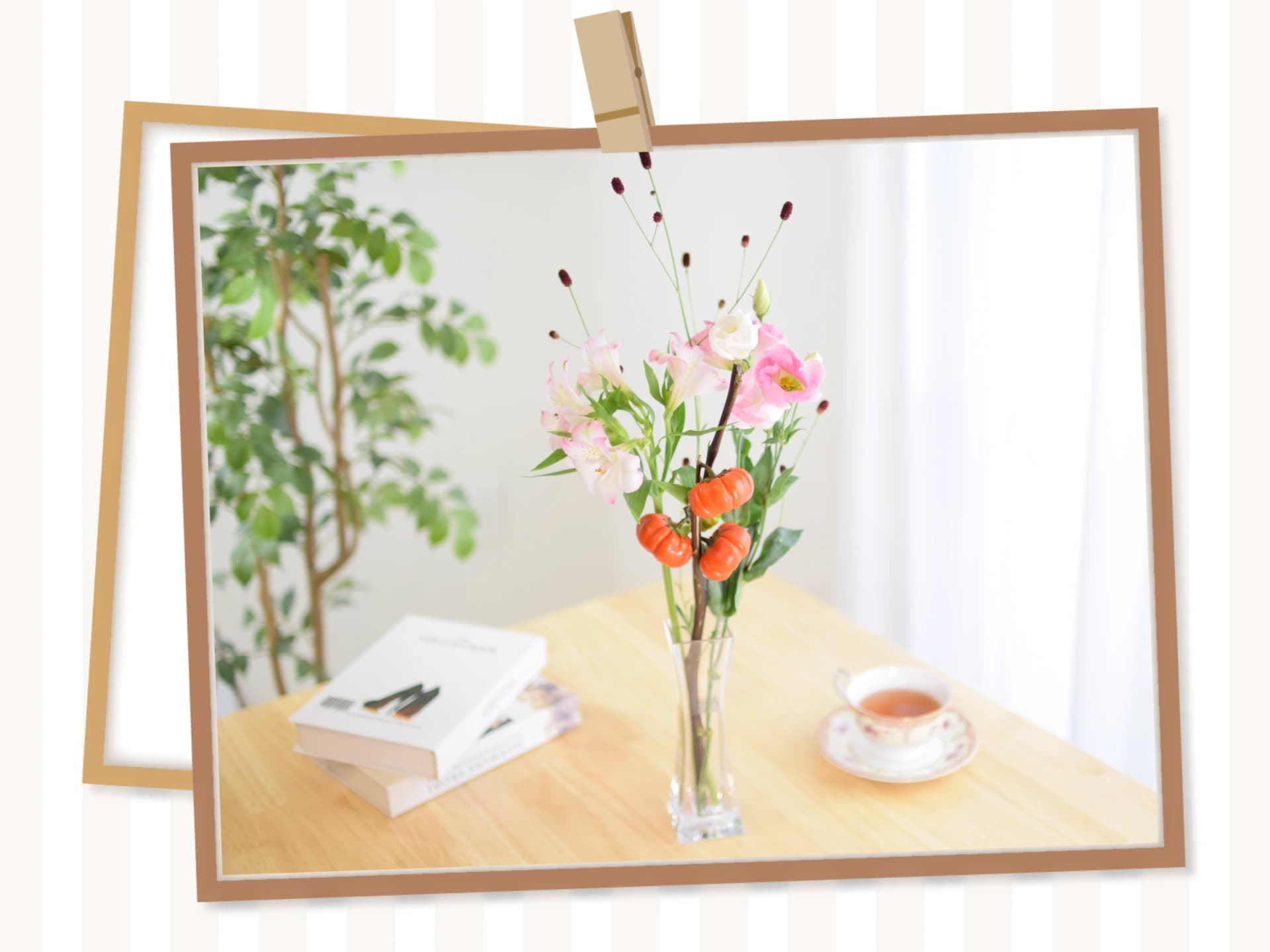 シンプルコース